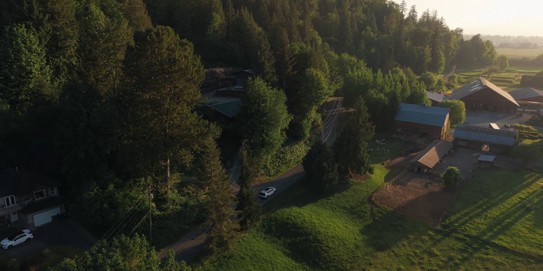 Aerial view of Chilliwack farmland and forested homes